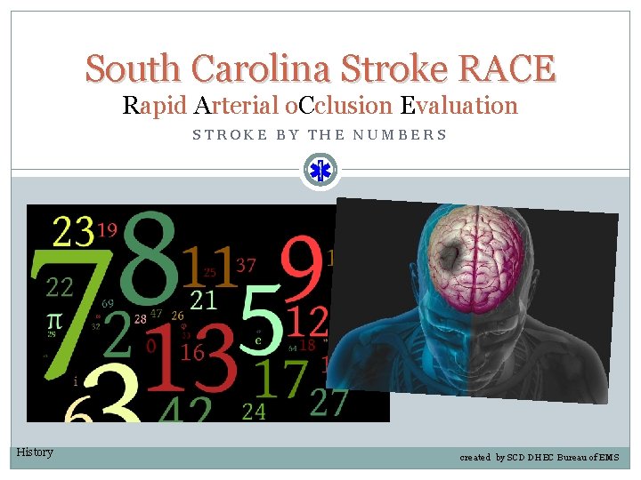 South Carolina Stroke RACE Rapid Arterial o. Cclusion Evaluation STROKE BY THE NUMBERS History