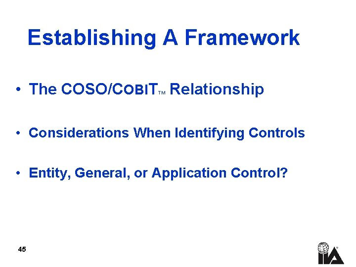 Establishing A Framework • The COSO/COBIT Relationship TM • Considerations When Identifying Controls •