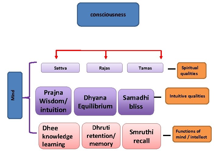 consciousness Mind Sattva Prajna Wisdom/ intuition Dhee knowledge learning Rajas Dhyana Equilibrium Dhruti retention/
