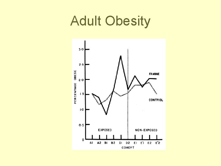 Adult Obesity 