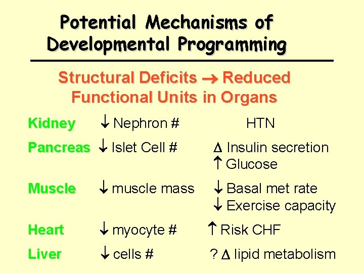 Potential Mechanisms of Developmental Programming Structural Deficits Reduced Functional Units in Organs Kidney Nephron