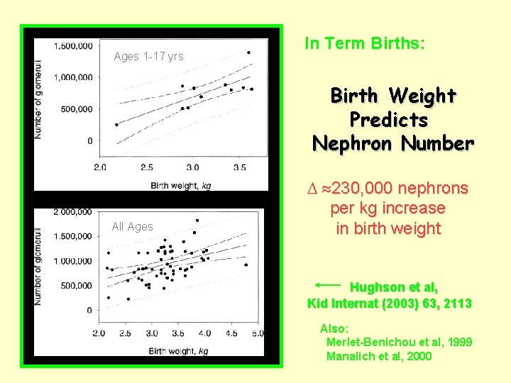 Ages 1 -17 yrs In Term Births: Birth Weight Predicts Nephron Number All Ages