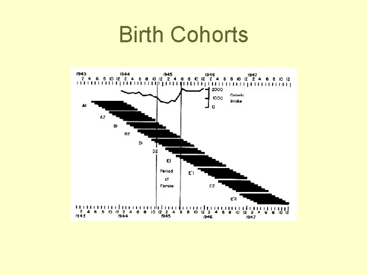 Birth Cohorts 