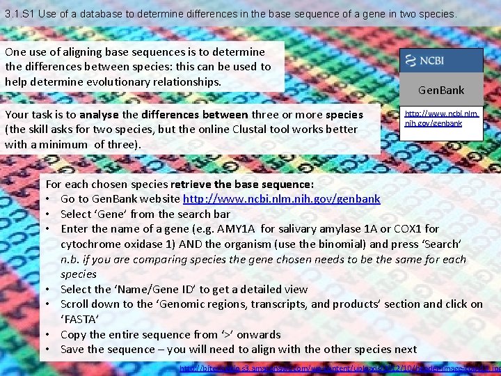 3. 1. S 1 Use of a database to determine differences in the base