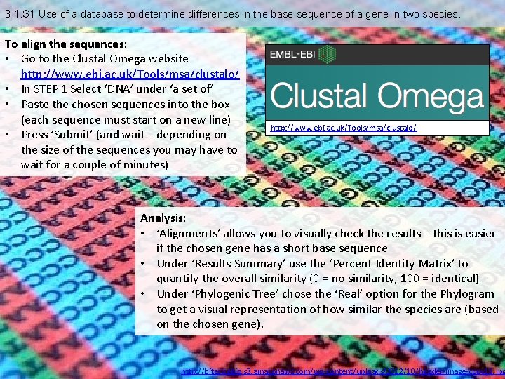 3. 1. S 1 Use of a database to determine differences in the base