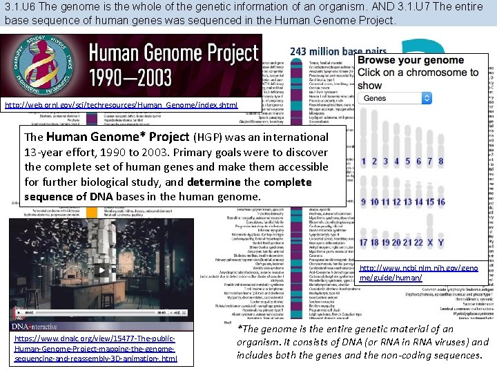 3. 1. U 6 The genome is the whole of the genetic information of