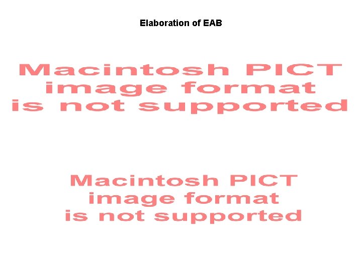 Elaboration of EAB 