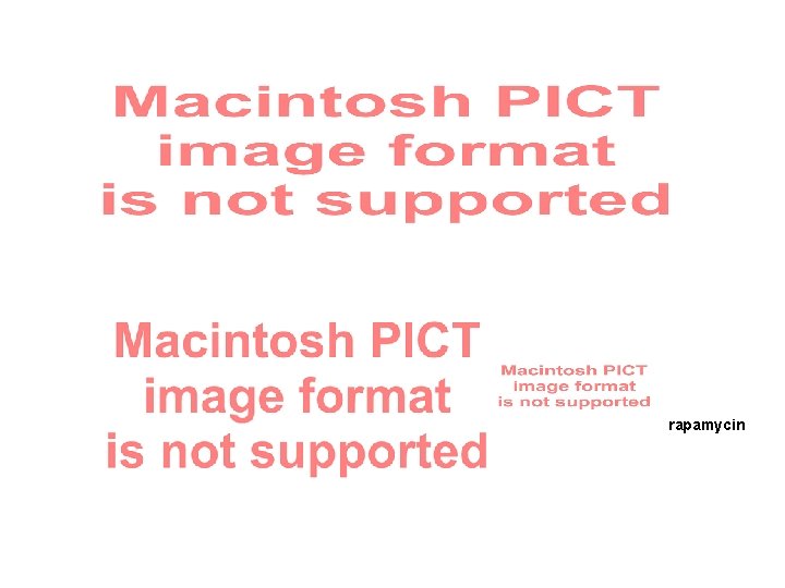 The Introduction of D rapamycin EABD The Introduction of D rapamycin EABD