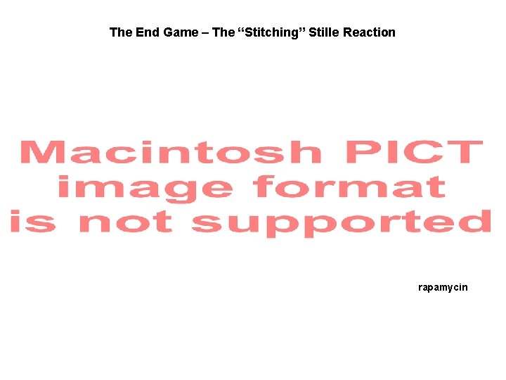 The End Game – The “Stitching” Stille Reaction rapamycin 