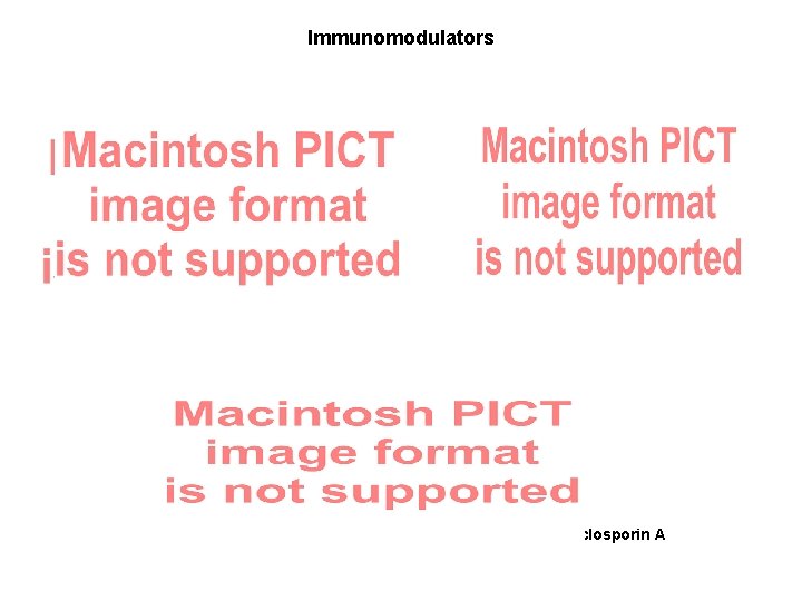 Immunomodulators rapamycin FK-506 cyclosporin A 