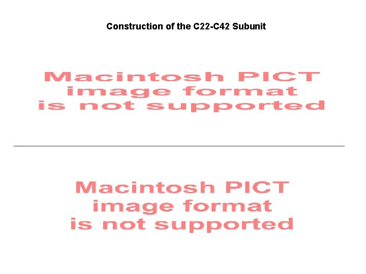 Construction of the C 22 -C 42 Subunit 