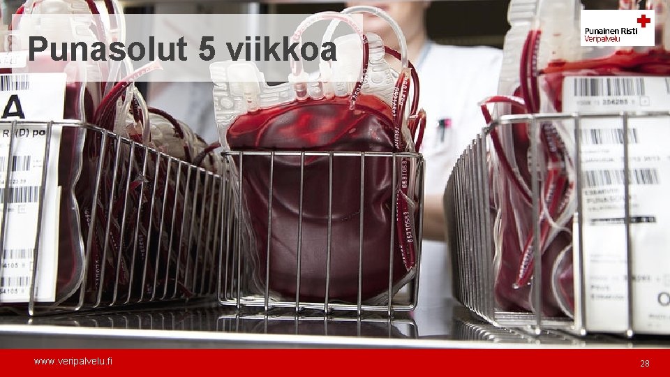 Punasolut 5 viikkoa www. veripalvelu. fi 28 