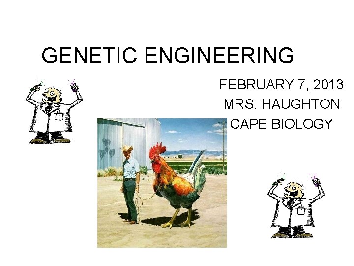 GENETIC ENGINEERING FEBRUARY 7, 2013 MRS. HAUGHTON CAPE BIOLOGY 