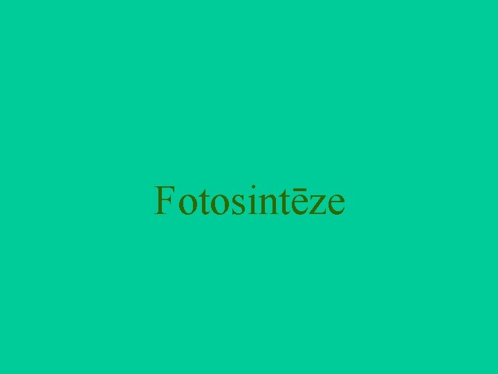 Fotosintēze 