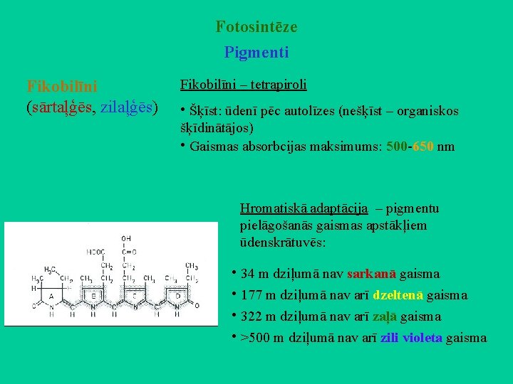 Fotosintēze Pigmenti Fikobilīni (sārtaļģēs, zilaļģēs) Fikobilīni – tetrapiroli • Šķīst: ūdenī pēc autolīzes (nešķīst