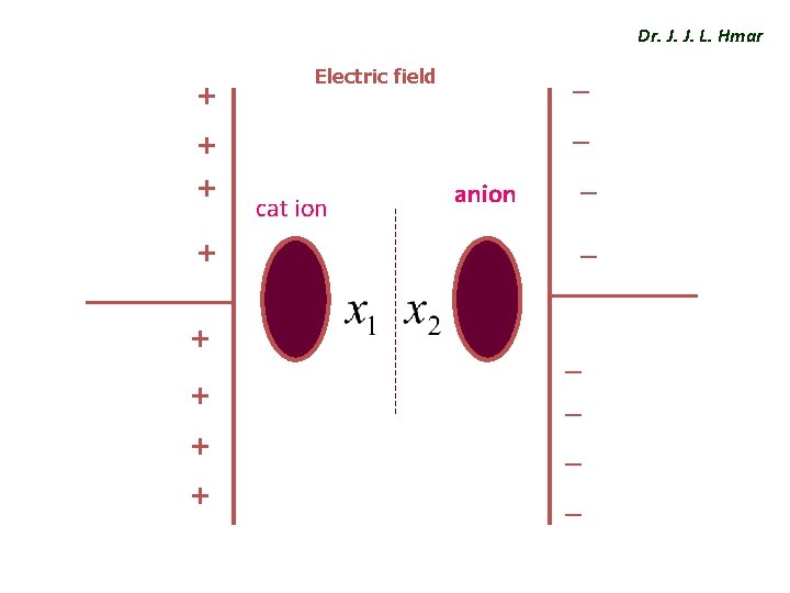 Dr. J. J. L. Hmar + _ Electric field _ + + cat ion