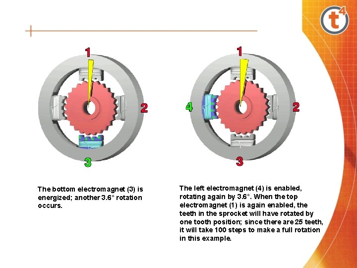The bottom electromagnet (3) is energized; another 3. 6° rotation occurs. The left electromagnet