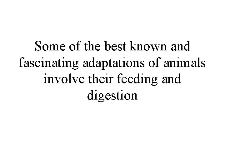 Some of the best known and fascinating adaptations of animals involve their feeding and