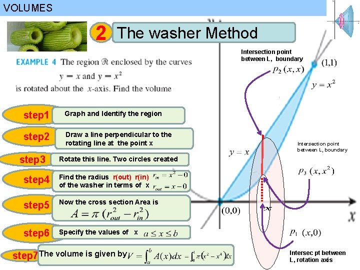 VOLUMES 2 The washer Method Intersection point between L, boundary step 1 Graph and