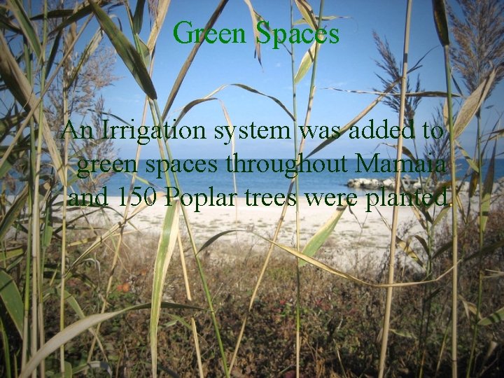 Green Spaces An Irrigation system was added to green spaces throughout Mamaia and 150