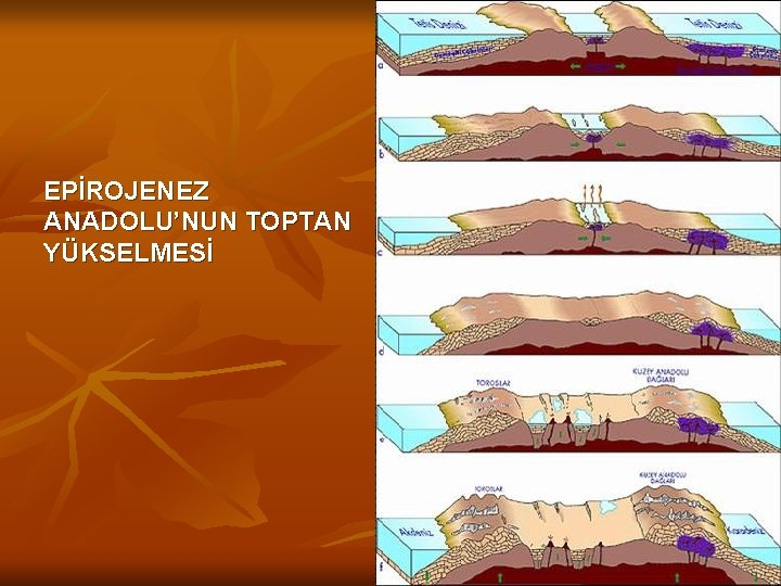 EPİROJENEZ ANADOLU’NUN TOPTAN YÜKSELMESİ 