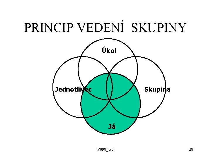 PRINCIP VEDENÍ SKUPINY Úkol Jednotlivec Skupina Já P 098_1/3 28 