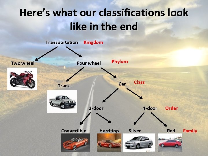 Here’s what our classifications look like in the end Transportation Two wheel Kingdom Four