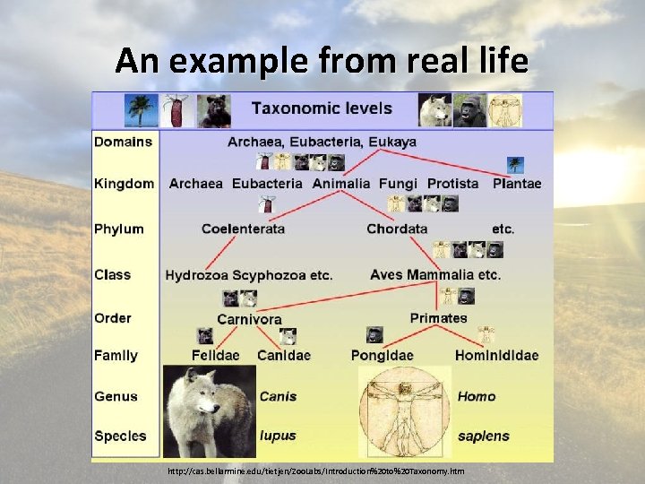 An example from real life http: //cas. bellarmine. edu/tietjen/Zoo. Labs/Introduction%20 to%20 Taxonomy. htm 