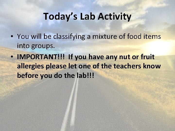 Today’s Lab Activity • You will be classifying a mixture of food items into