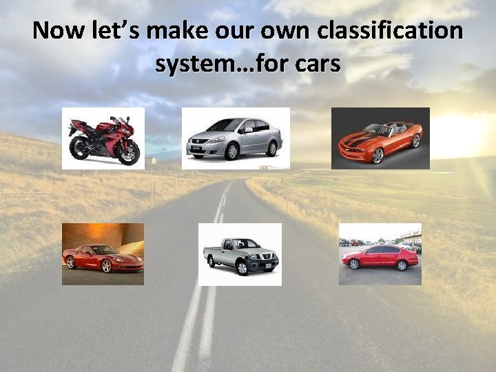 Now let’s make our own classification system…for cars 