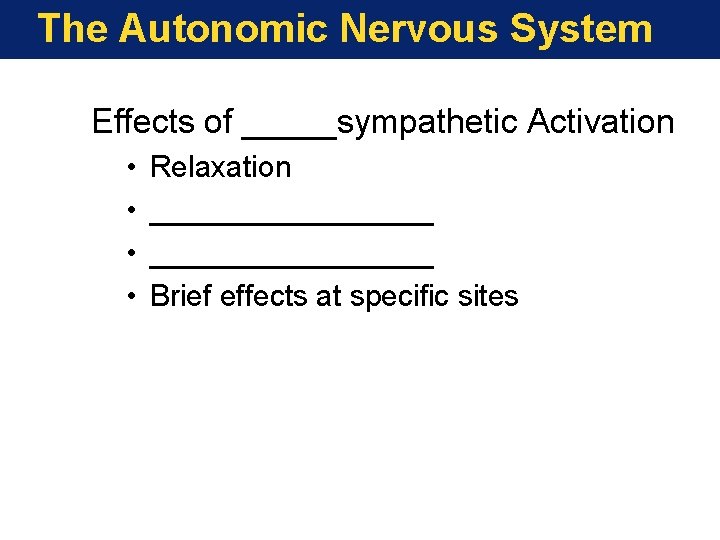 The Autonomic Nervous System Effects of _____sympathetic Activation • • Relaxation _________________ Brief effects The Autonomic Nervous System Effects of _____sympathetic Activation • • Relaxation _________________ Brief effects