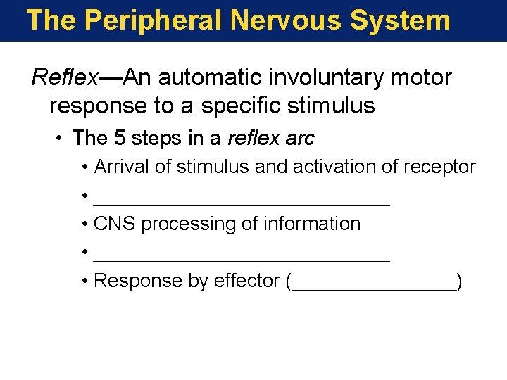 The Peripheral Nervous System Reflex—An automatic involuntary motor response to a specific stimulus • The Peripheral Nervous System Reflex—An automatic involuntary motor response to a specific stimulus •