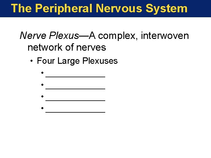 The Peripheral Nervous System Nerve Plexus—A complex, interwoven network of nerves • Four Large The Peripheral Nervous System Nerve Plexus—A complex, interwoven network of nerves • Four Large