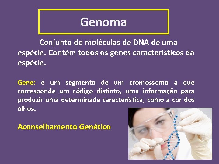 Genoma Conjunto de moléculas de DNA de uma espécie. Contém todos os genes característicos