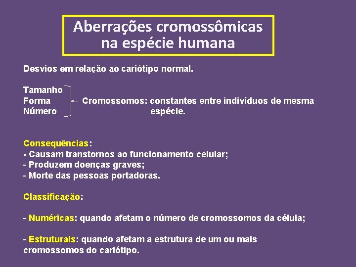 Aberrações cromossômicas na espécie humana Desvios em relação ao cariótipo normal. Tamanho Forma Número