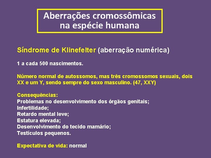 Aberrações cromossômicas na espécie humana Síndrome de Klinefelter (aberração numérica) 1 a cada 500