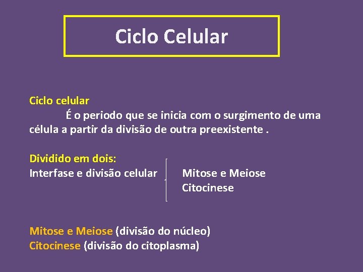 Ciclo Celular Ciclo celular É o periodo que se inicia com o surgimento de