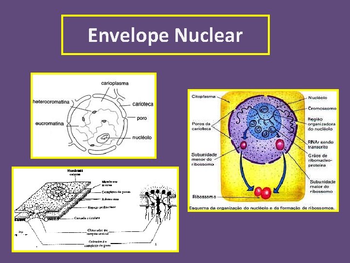 Envelope Nuclear 