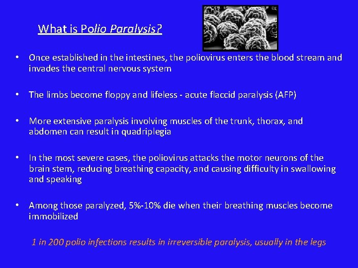 What is Polio Paralysis? • Once established in the intestines, the poliovirus enters the