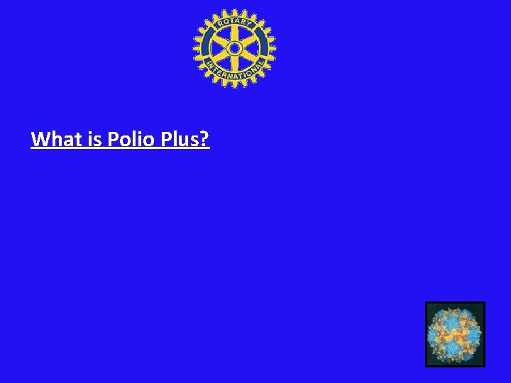What is Polio Plus? 