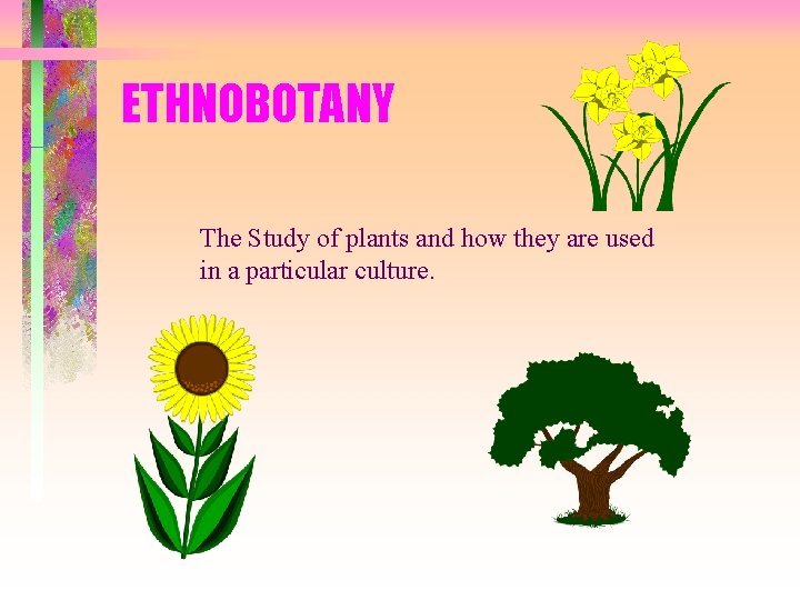 ETHNOBOTANY The Study of plants and how they are used in a particular culture.