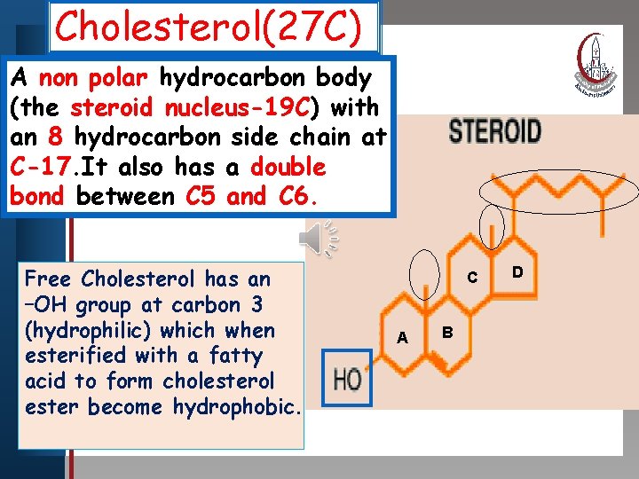 Cholesterol(27 C) Clickpolar to edit Master titlebody style A non hydrocarbon (the steroid nucleus-19