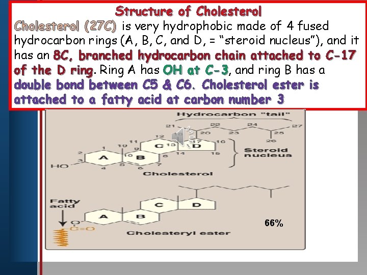 Structure of Cholesterol (27 C) is very hydrophobic made of 4 fused hydrocarbon rings.