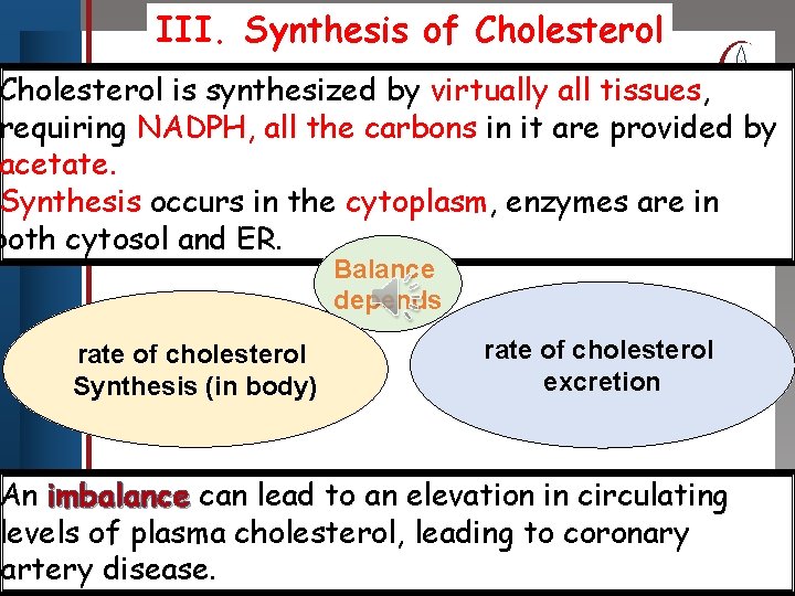 III. Synthesis of Cholesterol Click to is edit Master title Cholesterol synthesized bystyle virtually