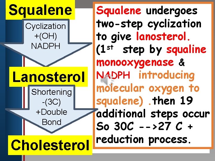 Squalene undergoes two-step cyclization Click to edit Master title style Cyclization +(OH) to give