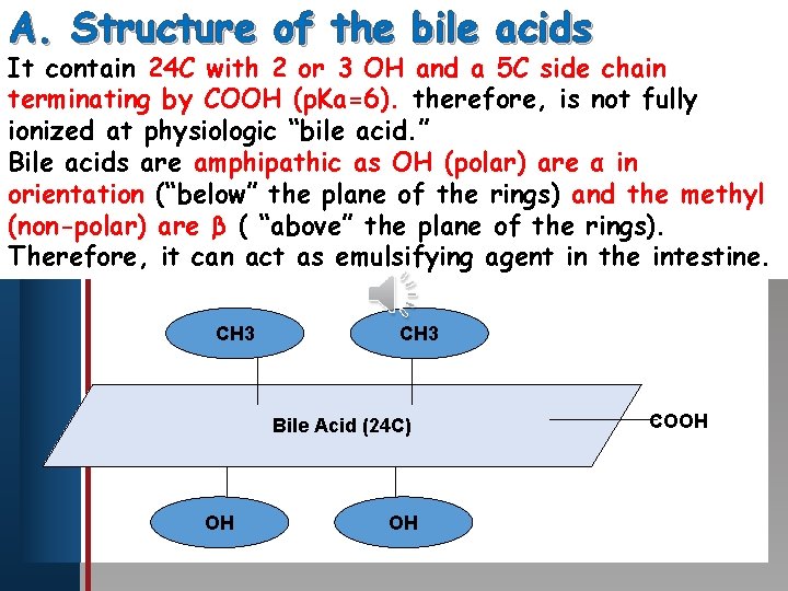 A. Structure of the bile acids It contain 24 C with 2 or 3