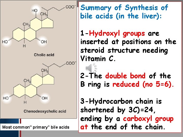 Summary of Synthesis of bile acids (in the liver): Click to edit Master title