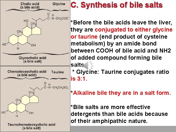 C. Synthesis of bile salts Click to edit Master title style *Before the bile