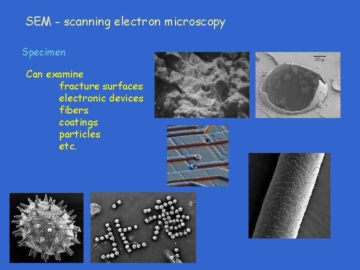SEM - scanning electron microscopy Specimen Can examine fracture surfaces electronic devices fibers coatings SEM - scanning electron microscopy Specimen Can examine fracture surfaces electronic devices fibers coatings