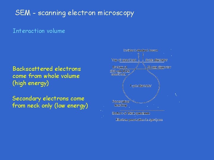 SEM - scanning electron microscopy Interaction volume Backscattered electrons come from whole volume (high SEM - scanning electron microscopy Interaction volume Backscattered electrons come from whole volume (high